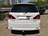 Halty TIPS2WD01-09